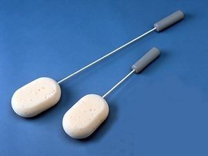 Picture of Long Handled Sponge