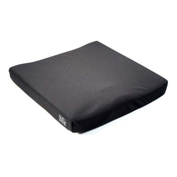Picture of JAY BASIC CUSHION 20 X 18